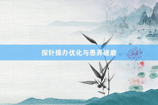 探针操办优化与愚弄磋磨