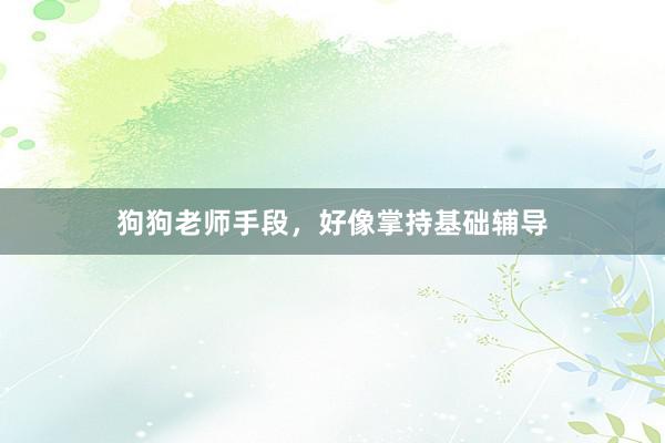 狗狗老师手段,好像掌持基础辅导