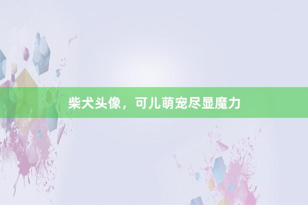 柴犬头像，可儿萌宠尽显魔力